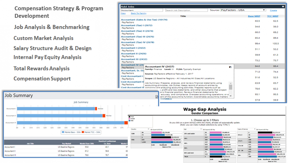 Compensation strategy and program development